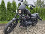 Klikněte pro detailní foto č. 9 - Harley-Davidson XL 1200 Sportster 1200 Screamin´Eagle kit
