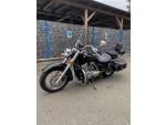 Klikněte pro detailní foto č. 1 - Honda VT 750 C Shadow