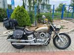 Klikněte pro detailní foto č. 4 - Yamaha XVS 1100 DragStar
