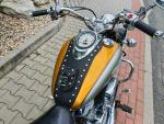Klikněte pro detailní foto č. 8 - Yamaha XVS 1100 DragStar