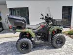 Klikněte pro detailní foto č. 7 - Loncin XWolf 300i