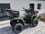 Klikněte pro detailní foto č. 8 - Loncin XWolf 300i