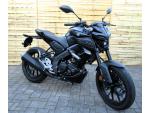Klikněte pro detailní foto č. 1 - Yamaha MT-125 ABS