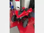 Detail nabídky - CFMOTO Gladiator X110