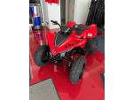 Klikněte pro detailní foto č. 1 - CFMOTO Gladiator X110