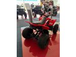 Klikněte pro detailní foto č. 3 - CFMOTO Gladiator X110