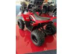 Klikněte pro detailní foto č. 4 - CFMOTO Gladiator X110