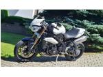 Klikněte pro detailní foto č. 3 - Triumph Speed Triple 1050