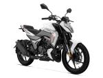 Klikněte pro detailní foto č. 4 - Morbidelli F125
