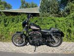 Klikněte pro detailní foto č. 5 - Harley-Davidson XL 883 R Sportster Roadster