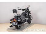 Klikněte pro detailní foto č. 11 - Indian Chief Dark Horse 111 2017