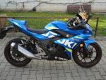 Klikněte pro detailní foto č. 8 - Suzuki GSX-R 250