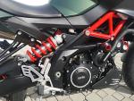 Klikněte pro detailní foto č. 8 - Aprilia Aprilia Shiver 900   / 70kW