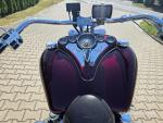 Klikněte pro detailní foto č. 6 - Ostatní Boss Hoss BHC-3