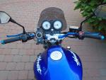 Klikněte pro detailní foto č. 4 - Honda CB 600 F Hornet