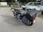 Klikněte pro detailní foto č. 6 - Yamaha XV 535 DX Virago 2002 koupeno nové v ČR