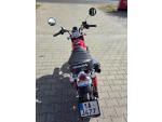 Klikněte pro detailní foto č. 6 - Honda Monkey 125