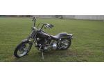 Klikněte pro detailní foto č. 4 - Harley-Davidson FXSTS Springer Softail