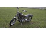 Klikněte pro detailní foto č. 5 - Harley-Davidson FXSTS Springer Softail