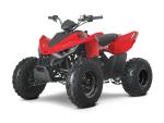 Klikněte pro detailní foto č. 1 - Linhai ATV 110 Junior, 5 LET ZÁRUKA, NOVINKA