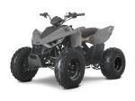 Klikněte pro detailní foto č. 5 - Linhai ATV 110 Junior, 5 LET ZÁRUKA, NOVINKA