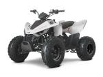Klikněte pro detailní foto č. 6 - Linhai ATV 110 Junior, 5 LET ZÁRUKA, NOVINKA