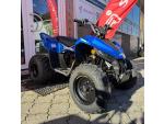 Klikněte pro detailní foto č. 13 - Linhai Dětská čtyřkolka ATV 110 Junior, 5 LET ZÁRUKA, NOVINKA