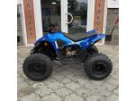 Klikněte pro detailní foto č. 2 - Linhai Dětská čtyřkolka ATV 110 Junior, 5 LET ZÁRUKA, NOVINKA