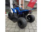 Klikněte pro detailní foto č. 11 - Linhai Dětská čtyřkolka ATV 110 Junior, 5 LET ZÁRUKA, NOVINKA