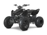 Klikněte pro detailní foto č. 3 - Linhai ATV 110 Junior, 5 LET ZÁRUKA, NOVINKA