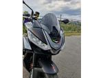 Klikněte pro detailní foto č. 8 - Aprilia Tuono 660