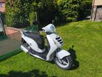 Klikněte pro detailní foto č. 6 - Honda PS 125i (2009) ,řp.sk. B , po servisu