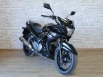 Klikněte pro detailní foto č. 5 - Suzuki GW 250 Inazuma F 2.majitel, 11800km, po servisu