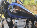 Klikněte pro detailní foto č. 13 - Kawasaki EN 500 - SUPER STAV - 34 KW