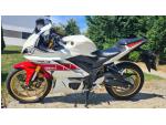 Klikněte pro detailní foto č. 1 - Yamaha YZF-R3