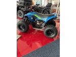 Klikněte pro detailní foto č. 3 - CFMOTO Gladiator X110