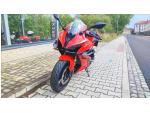 Klikněte pro detailní foto č. 4 - QJ Motor SRK 800 RR 2025