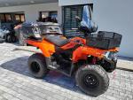 Klikněte pro detailní foto č. 3 - Loncin XWolf 300i-výbava