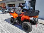 Klikněte pro detailní foto č. 4 - Loncin XWolf 300i-výbava