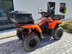Klikněte pro detailní foto č. 8 - Loncin XWolf 300i-výbava