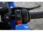 Klikněte pro detailní foto č. 10 - Ostatní R 1300 RS