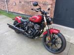 Klikněte pro detailní foto č. 1 - Indian Chief  Dark Horse