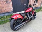 Klikněte pro detailní foto č. 4 - Indian Chief  Dark Horse