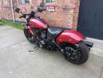 Klikněte pro detailní foto č. 5 - Indian Chief  Dark Horse