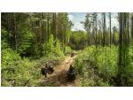 Klikněte pro detailní foto č. 4 - CAN-AM Outlander 1000R XT-P T ABS SAS MY26