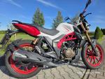 Klikněte pro detailní foto č. 3 - UM Motorcycles Xtreet RC