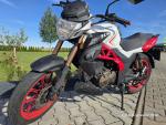 Klikněte pro detailní foto č. 6 - UM Motorcycles Xtreet RC