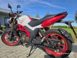 Klikněte pro detailní foto č. 8 - UM Motorcycles Xtreet RC