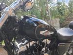 Klikněte pro detailní foto č. 7 - Harley-Davidson XL 1200 C Sportster Custom - TOP STAV