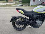 Klikněte pro detailní foto č. 9 - CFMOTO 300 CL-X 2024 2500km v záruce